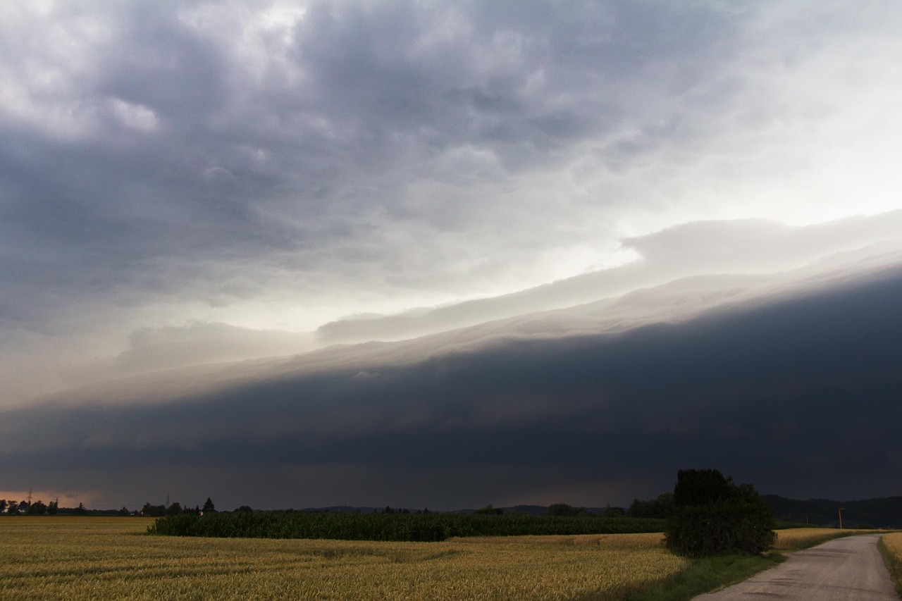 上海今天上午陰有陣雨或雷雨，局部地區(qū)雨量可達(dá)大到暴雨
