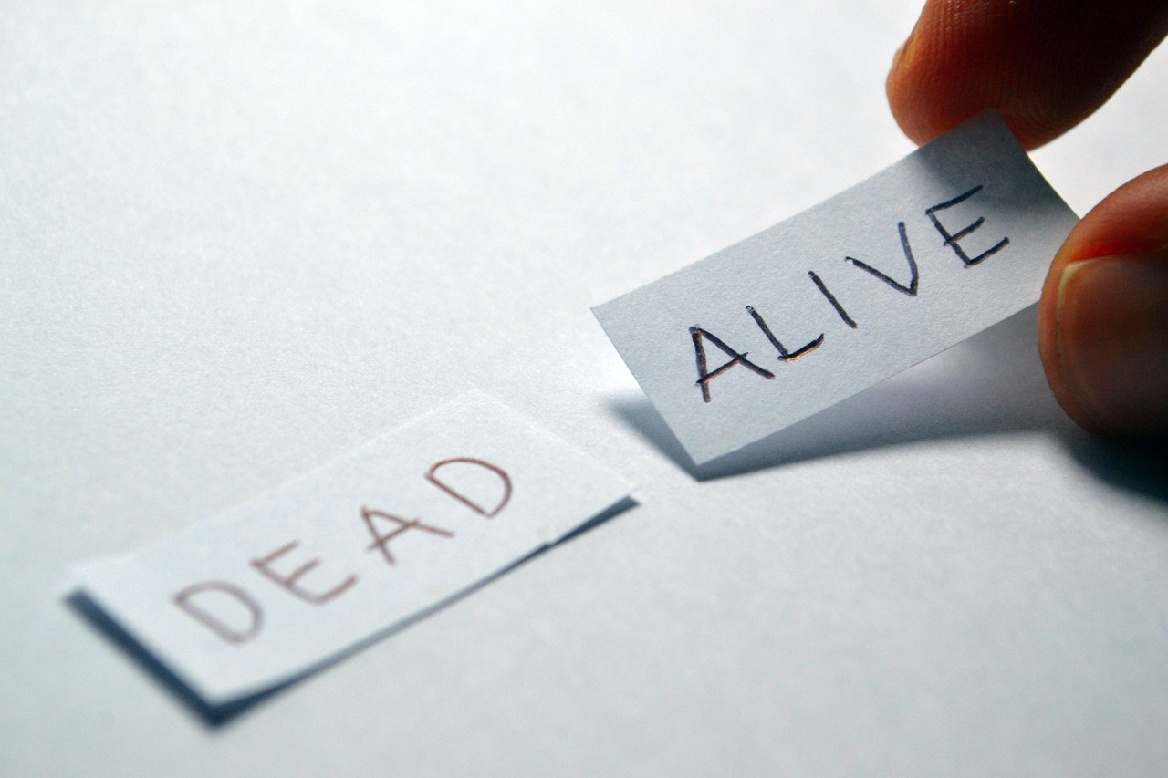 字節(jié)自研AI IDE產(chǎn)品TRAE月活用戶超百萬