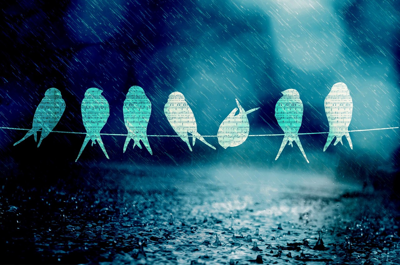 盤點聯(lián)合國海洋大會期間宣布的金融交易