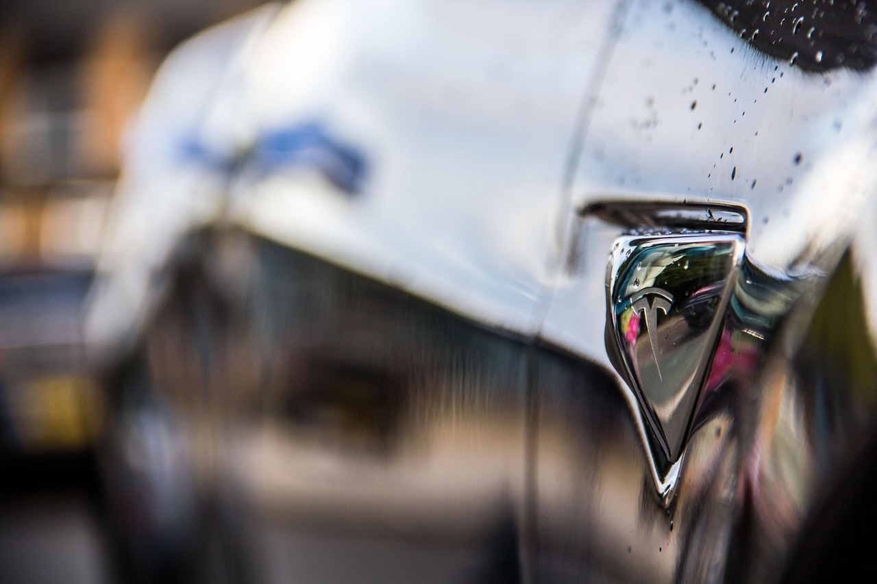 特朗普稱馬斯克很棒，但不是每個人都喜歡電動汽車