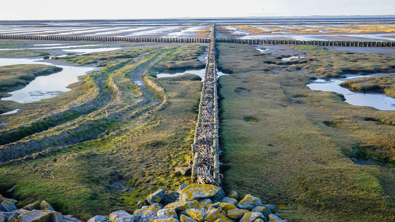 文旅部發(fā)布汛期暑期出游提示：不前往未開(kāi)發(fā)開(kāi)放的區(qū)域、水域