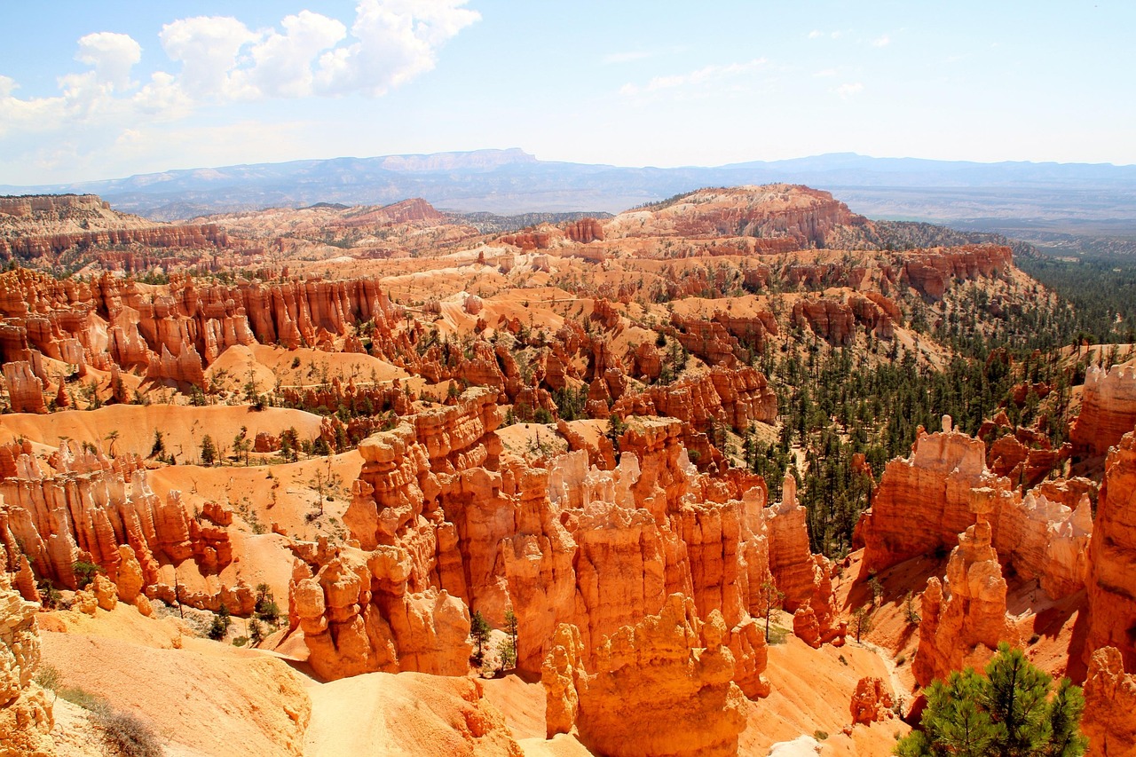 日本巖手縣觀測(cè)到1.3米高海嘯，夏威夷觀測(cè)到1.2米高海嘯